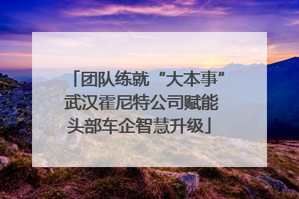团队练就“大本事” 武汉霍尼特公司赋能头部车企智慧升级