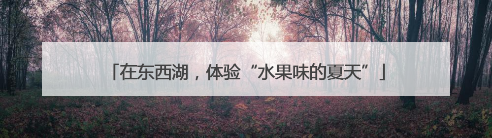 在东西湖，体验“水果味的夏天”