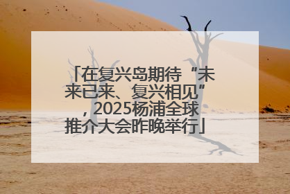 在复兴岛期待“未来已来、复兴相见”，2025杨浦全球推介大会昨晚举行