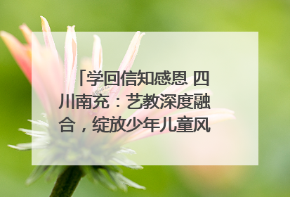 学回信知感恩 四川南充：艺教深度融合，绽放少年儿童风采｜您牵挂的四川
