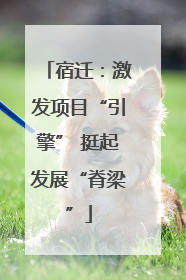 宿迁：激发项目“引擎” 挺起发展“脊梁”