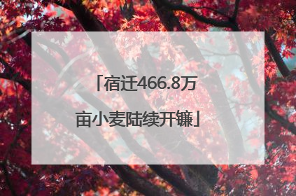 宿迁466.8万亩小麦陆续开镰