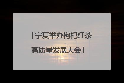 宁夏举办枸杞红茶高质量发展大会
