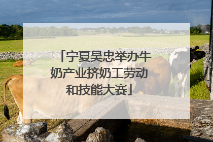 宁夏吴忠举办牛奶产业挤奶工劳动和技能大赛