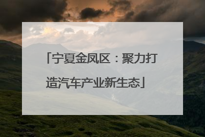 宁夏金凤区：聚力打造汽车产业新生态