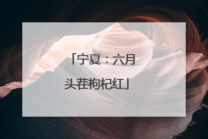 宁夏：六月头茬枸杞红