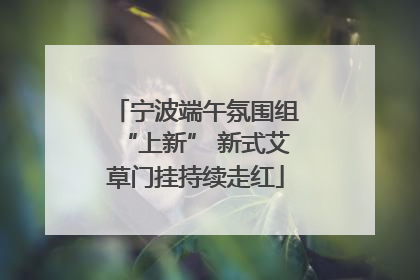 宁波端午氛围组“上新” 新式艾草门挂持续走红