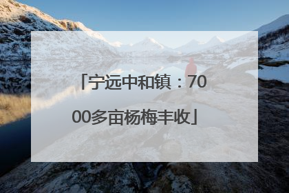 宁远中和镇：7000多亩杨梅丰收