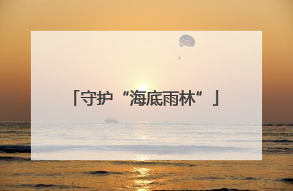 守护“海底雨林”