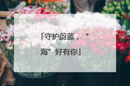 守护蔚蓝，“海”好有你