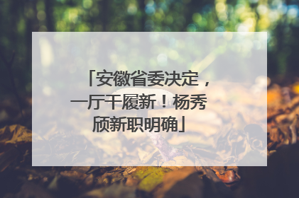 安徽省委决定，一厅干履新！杨秀颀新职明确
