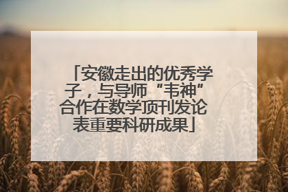 安徽走出的优秀学子，与导师“韦神”合作在数学顶刊发论表重要科研成果