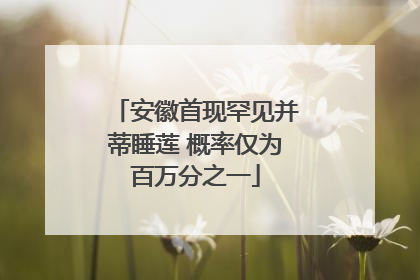 安徽首现罕见并蒂睡莲 概率仅为百万分之一