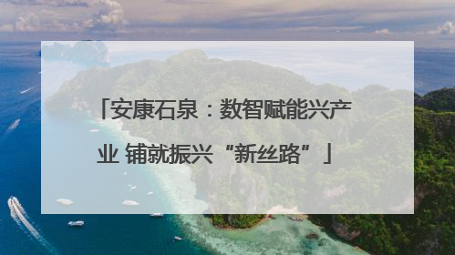 安康石泉：数智赋能兴产业 铺就振兴“新丝路”
