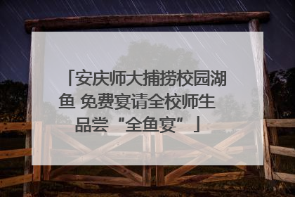 安庆师大捕捞校园湖鱼 免费宴请全校师生品尝“全鱼宴”