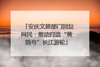 安庆文旅部门回复网民：推动打造“黄鹄号”长江游轮
