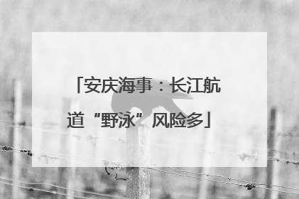 安庆海事：长江航道“野泳”风险多