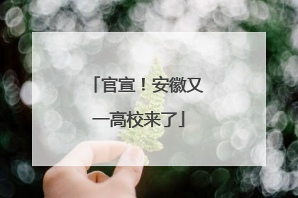 官宣！安徽又一高校来了