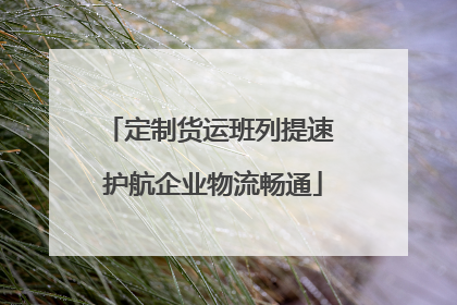 定制货运班列提速 护航企业物流畅通
