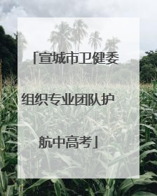 宣城市卫健委组织专业团队护航中高考