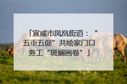 宣威市凤凰街道：“五重五促”共绘家门口务工“斑斓画卷”