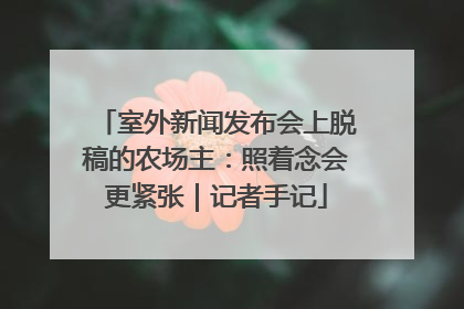 室外新闻发布会上脱稿的农场主：照着念会更紧张｜记者手记