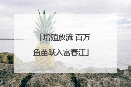 增殖放流 百万鱼苗跃入富春江