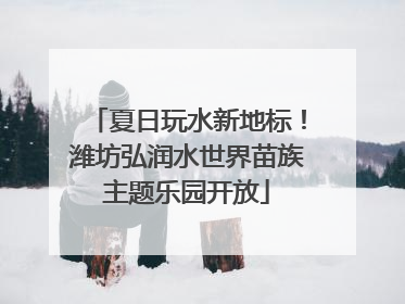 夏日玩水新地标！潍坊弘润水世界苗族主题乐园开放