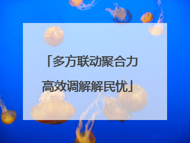多方联动聚合力 高效调解解民忧