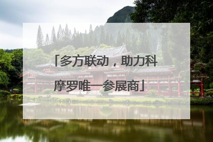 多方联动，助力科摩罗唯一参展商