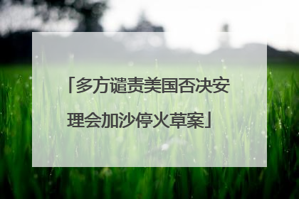 多方谴责美国否决安理会加沙停火草案