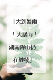 大到暴雨！大暴雨！湖南降雨仍在继续