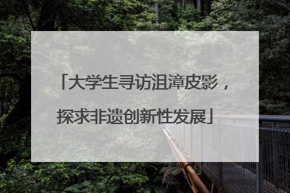 大学生寻访沮漳皮影，探求非遗创新性发展