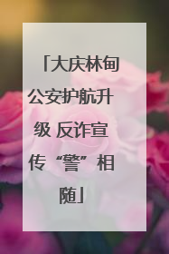 大庆林甸公安护航升级 反诈宣传“警”相随