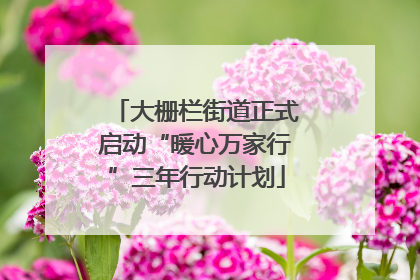 大栅栏街道正式启动“暖心万家行”三年行动计划