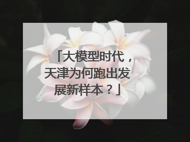 大模型时代，天津为何跑出发展新样本？