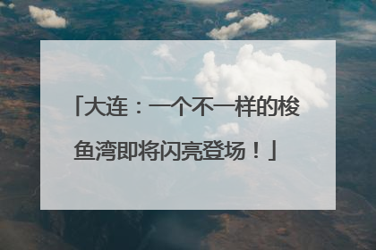 大连：一个不一样的梭鱼湾即将闪亮登场！