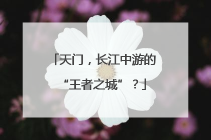 天门，长江中游的“王者之城”？