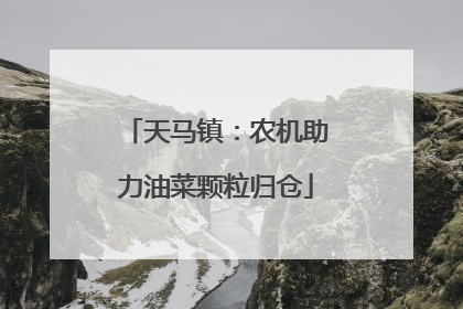 天马镇：农机助力油菜颗粒归仓