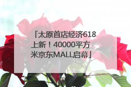 太原首店经济618上新！40000平方米京东MALL启幕