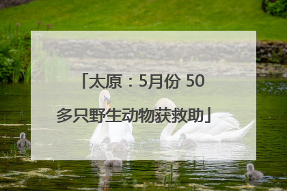 太原：5月份 50多只野生动物获救助