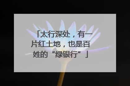 太行深处，有一片红土地，也是百姓的“绿银行”