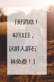 好消息！6月1日，这群人游石林免费！