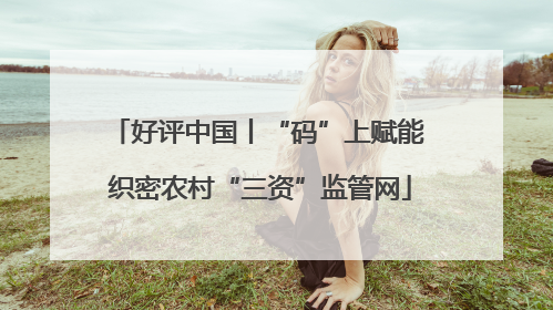 好评中国丨“码”上赋能 织密农村“三资”监管网