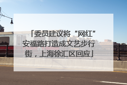 委员建议将“网红”安福路打造成文艺步行街，上海徐汇区回应
