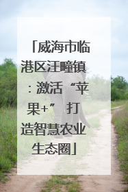 威海市临港区汪疃镇：激活“苹果+” 打造智慧农业生态圈