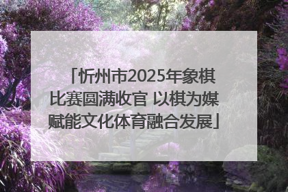 忻州市2025年象棋比赛圆满收官 以棋为媒赋能文化体育融合发展