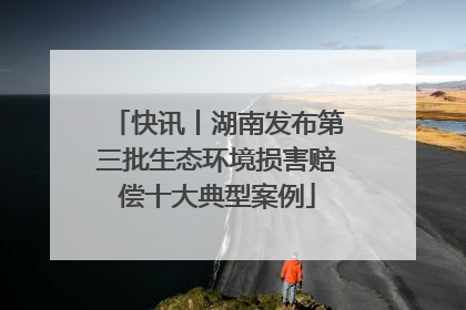 快讯丨湖南发布第三批生态环境损害赔偿十大典型案例
