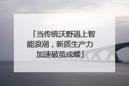 当传统沃野遇上智能浪潮，新质生产力加速破茧成蝶