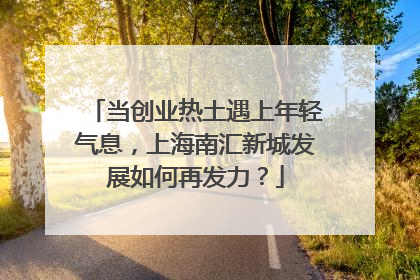 当创业热土遇上年轻气息，上海南汇新城发展如何再发力？